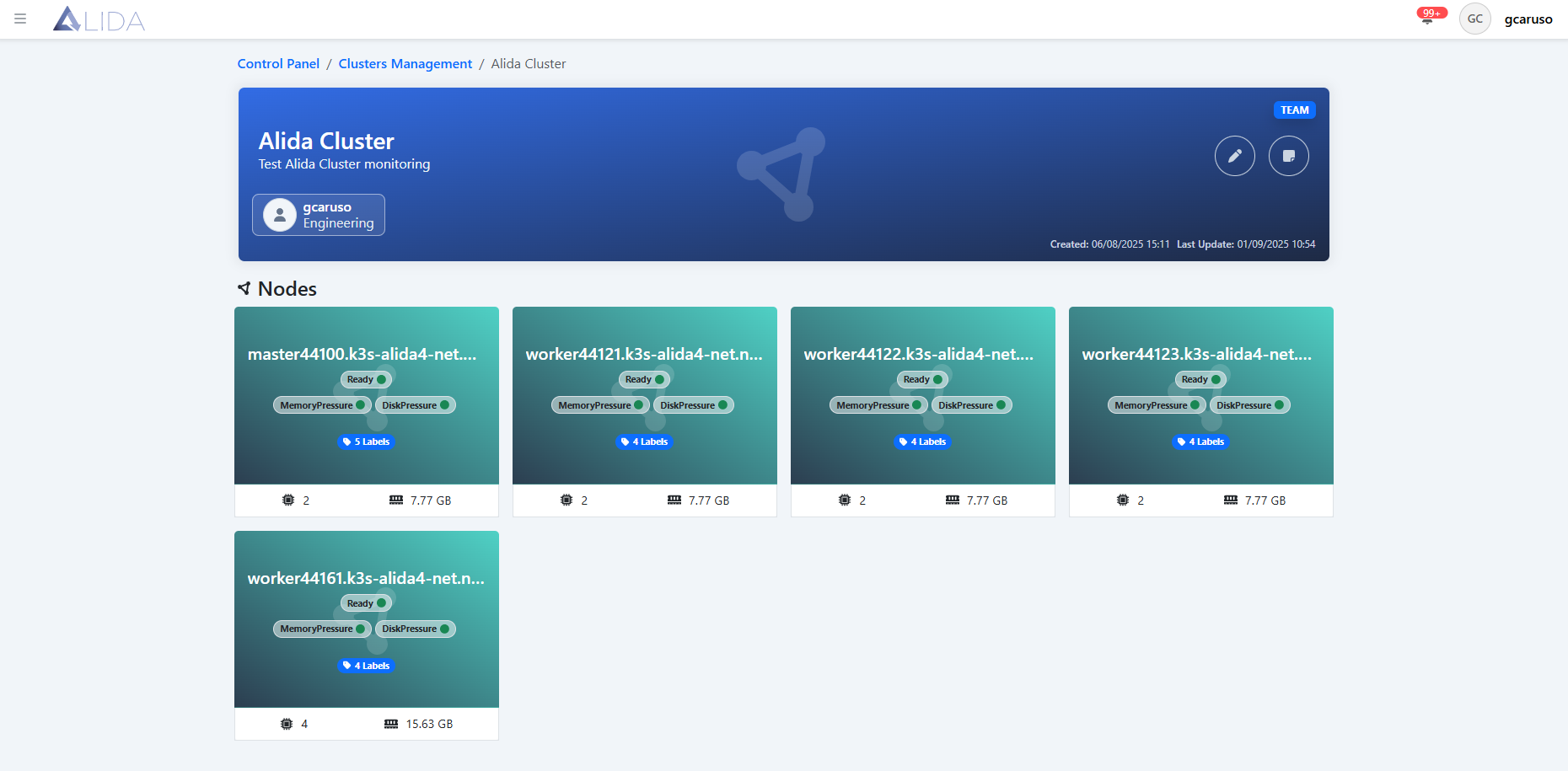 cluster-detail-page