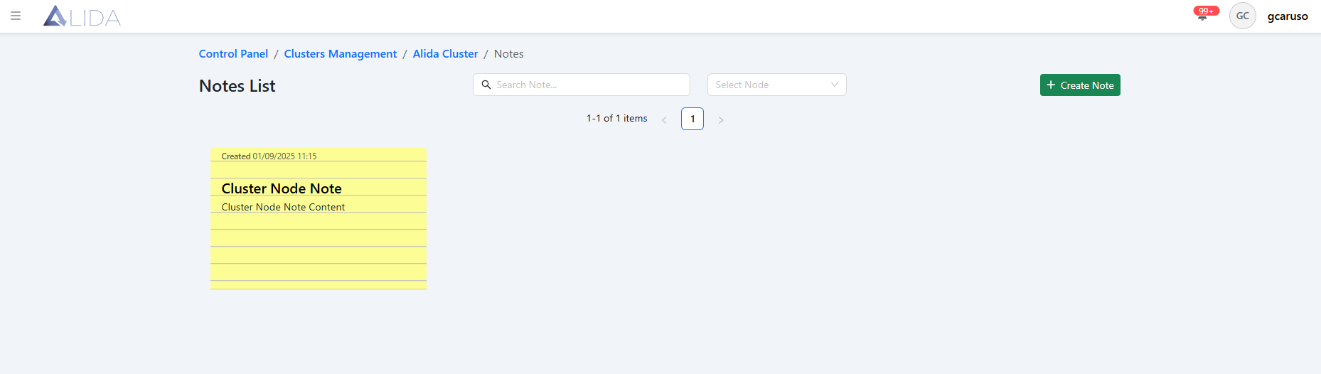 cluster-notes-page