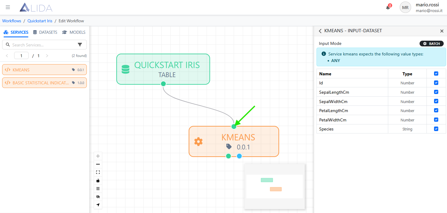 elements-details-panel-showing-service-input-dataset-port-configurator