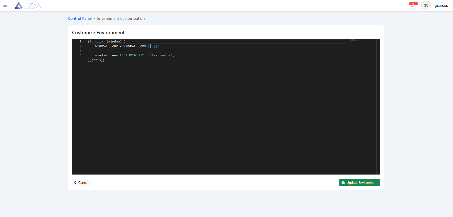 environment-customization-page