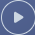 execute-workflow-icon-button