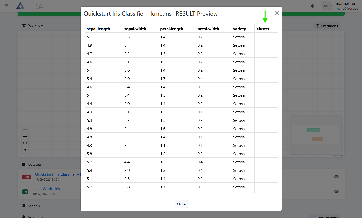 output-dataset-data-preview-popup.png