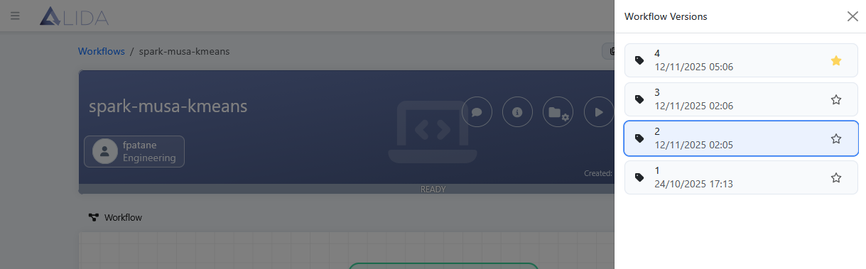 workflow-specific-version-selected